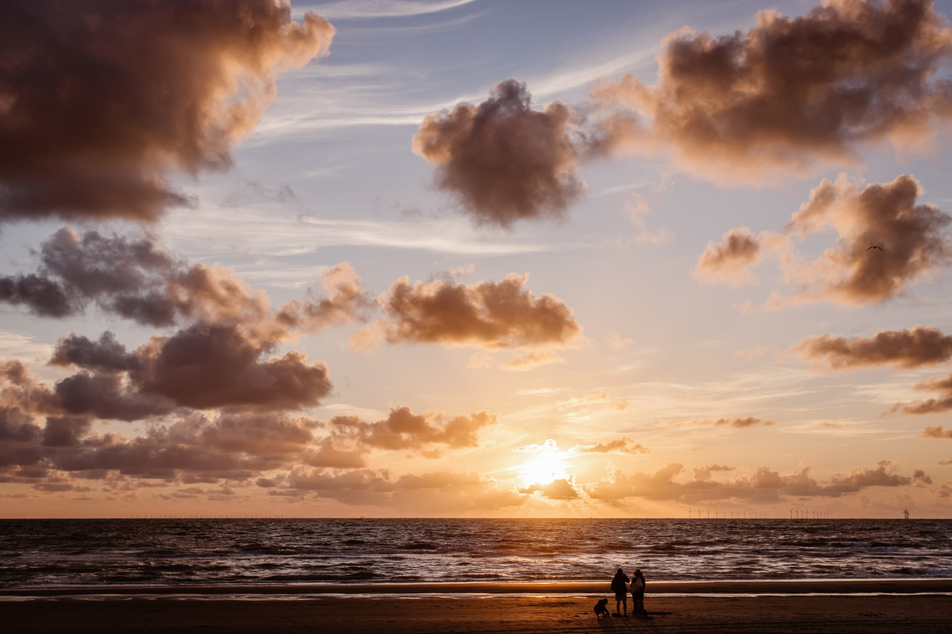 Beach Houses Zandvoort