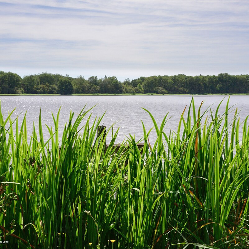 Center Parcs Les Hauts de Bruyères-
