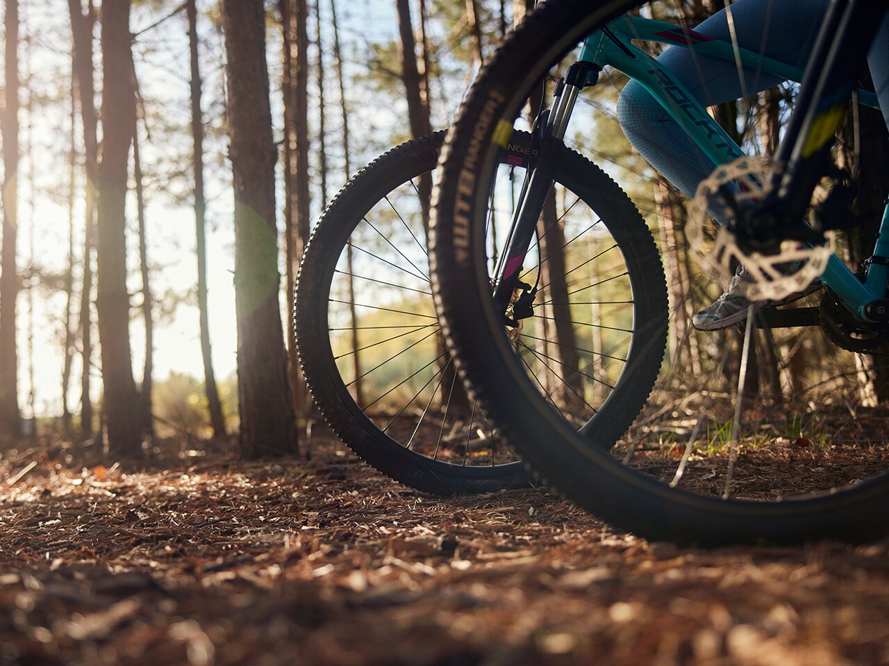 Center Parcs Park De Haan-