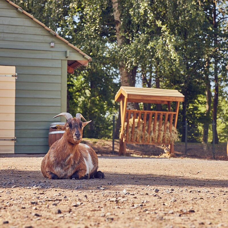 Center Parcs Le Lac d'Ailette-