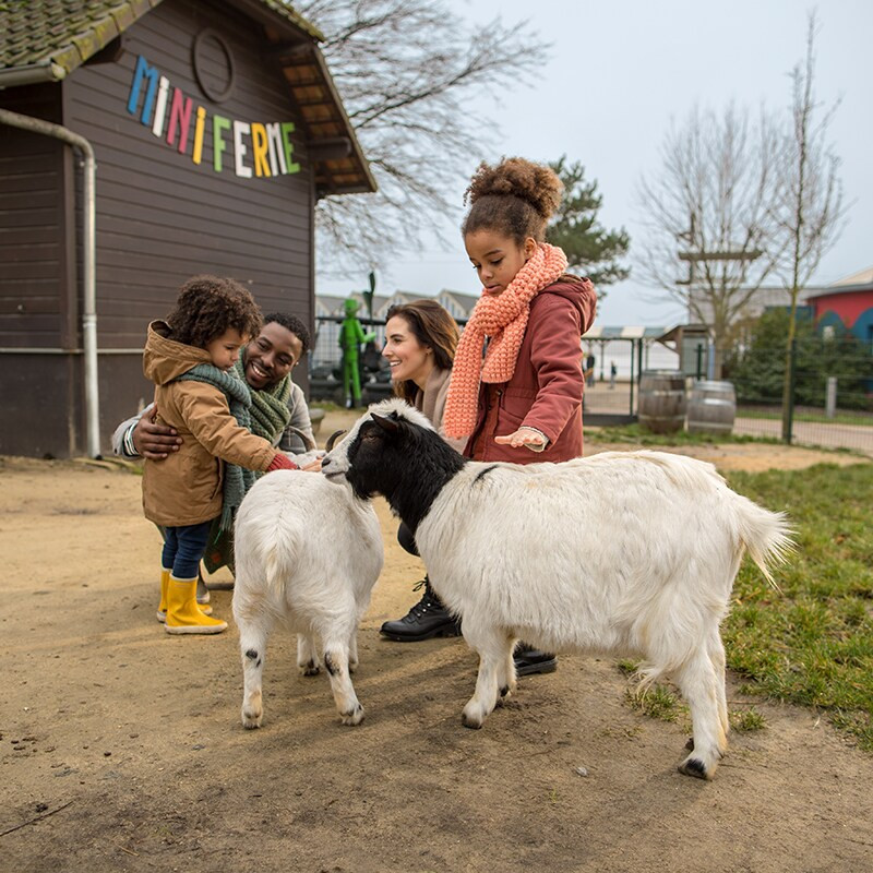 Center Parcs Le Lac d'Ailette-