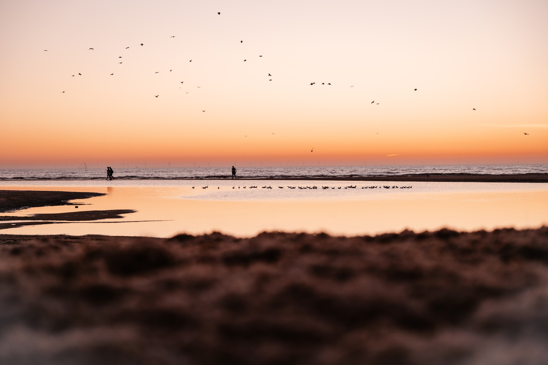 Strandpark Duynhille-