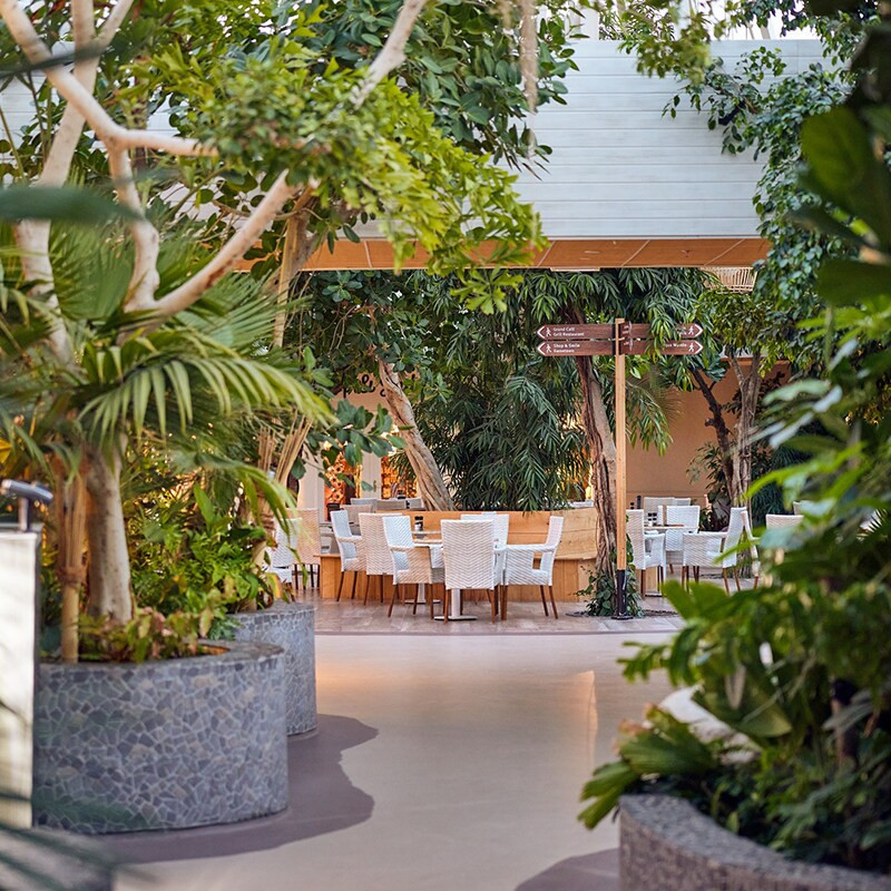 Center Parcs Park Zandvoort-