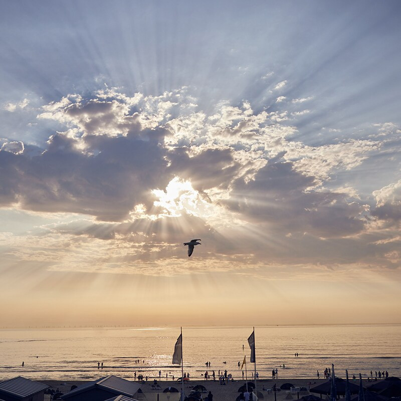 Center Parcs Park Zandvoort-