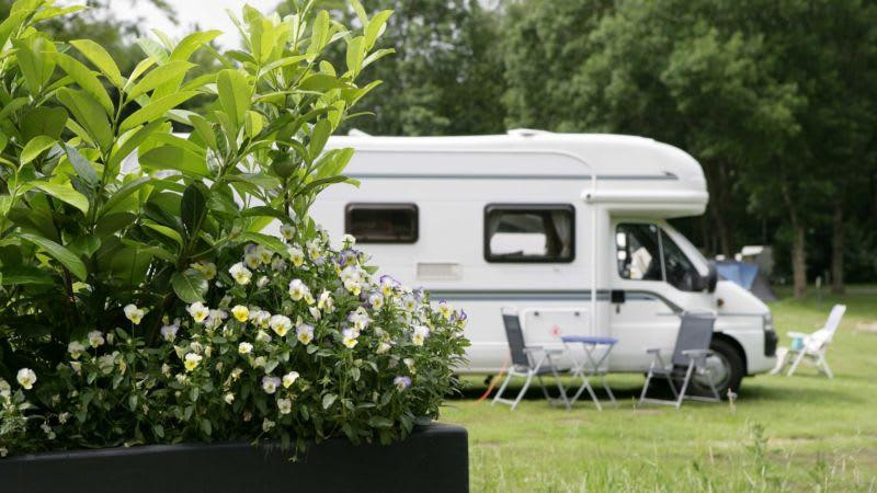 EuroParcs Molengroet