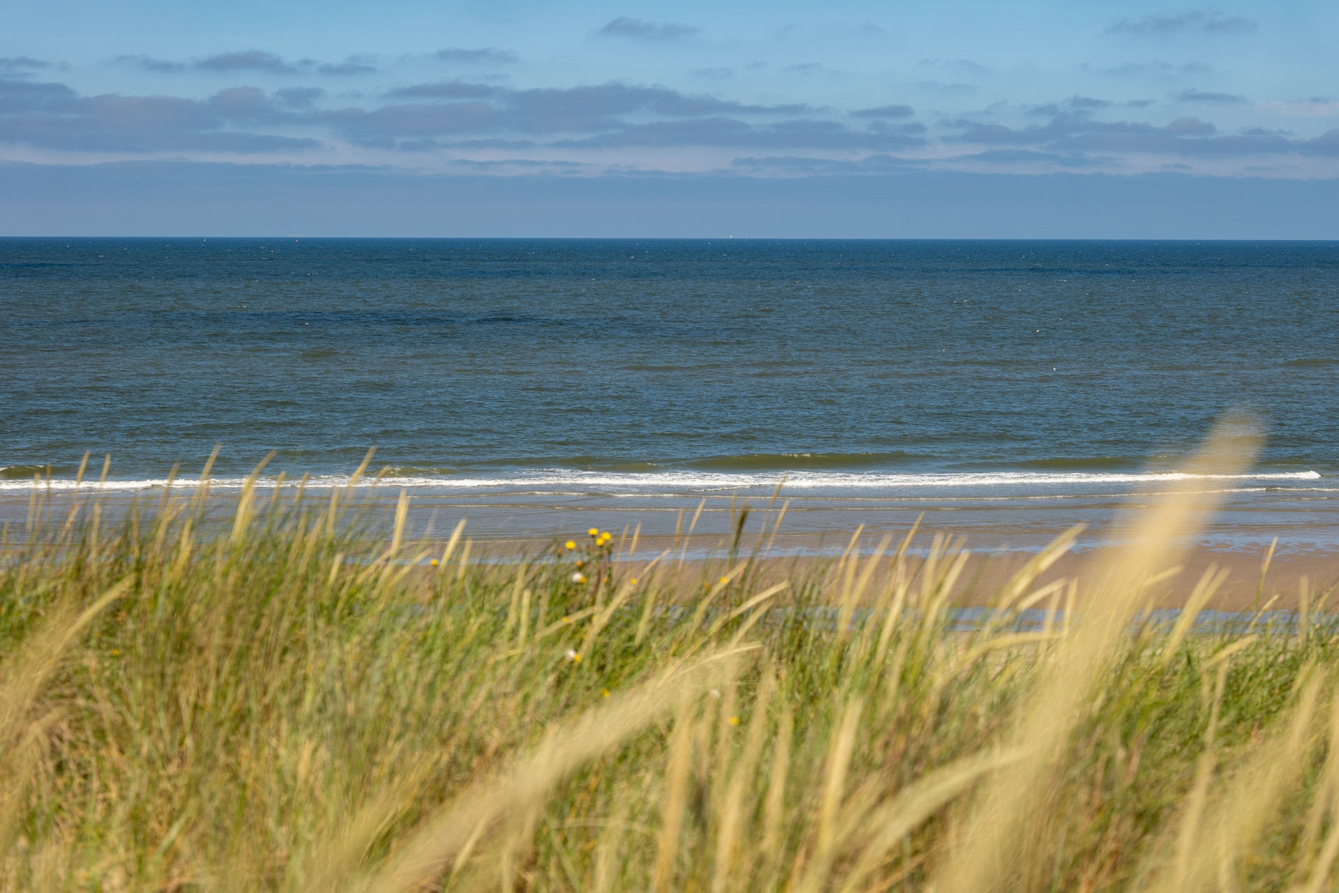 Roompot Kustpark Texel-