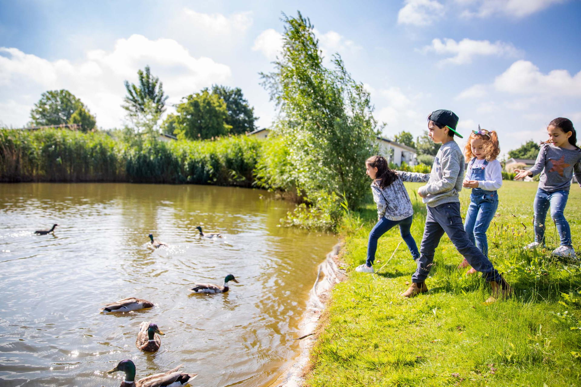 Recreatiepark het Esmeer-