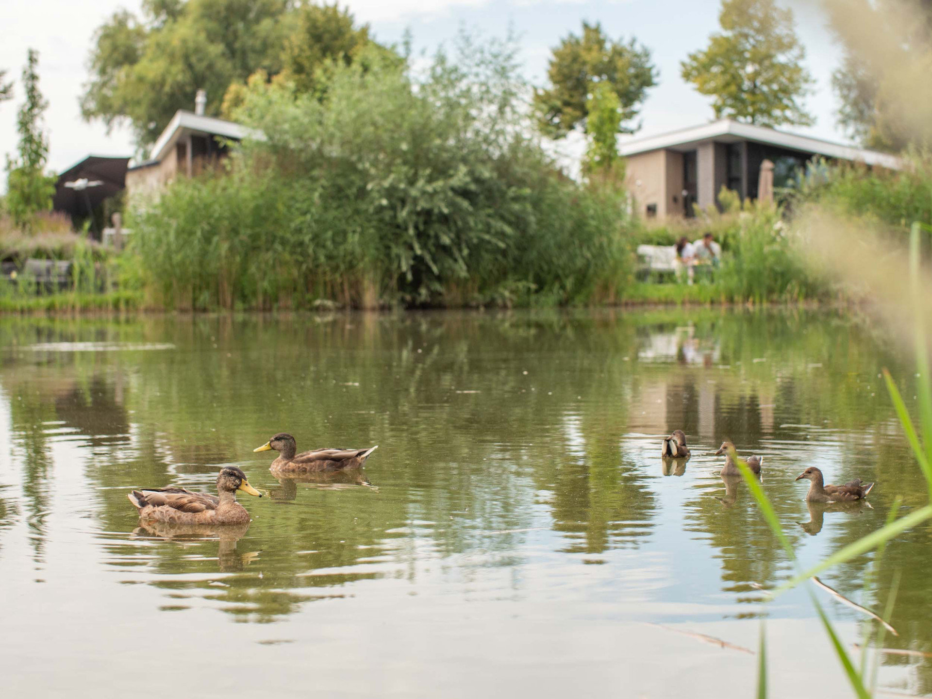 Recreatiepark het Esmeer-