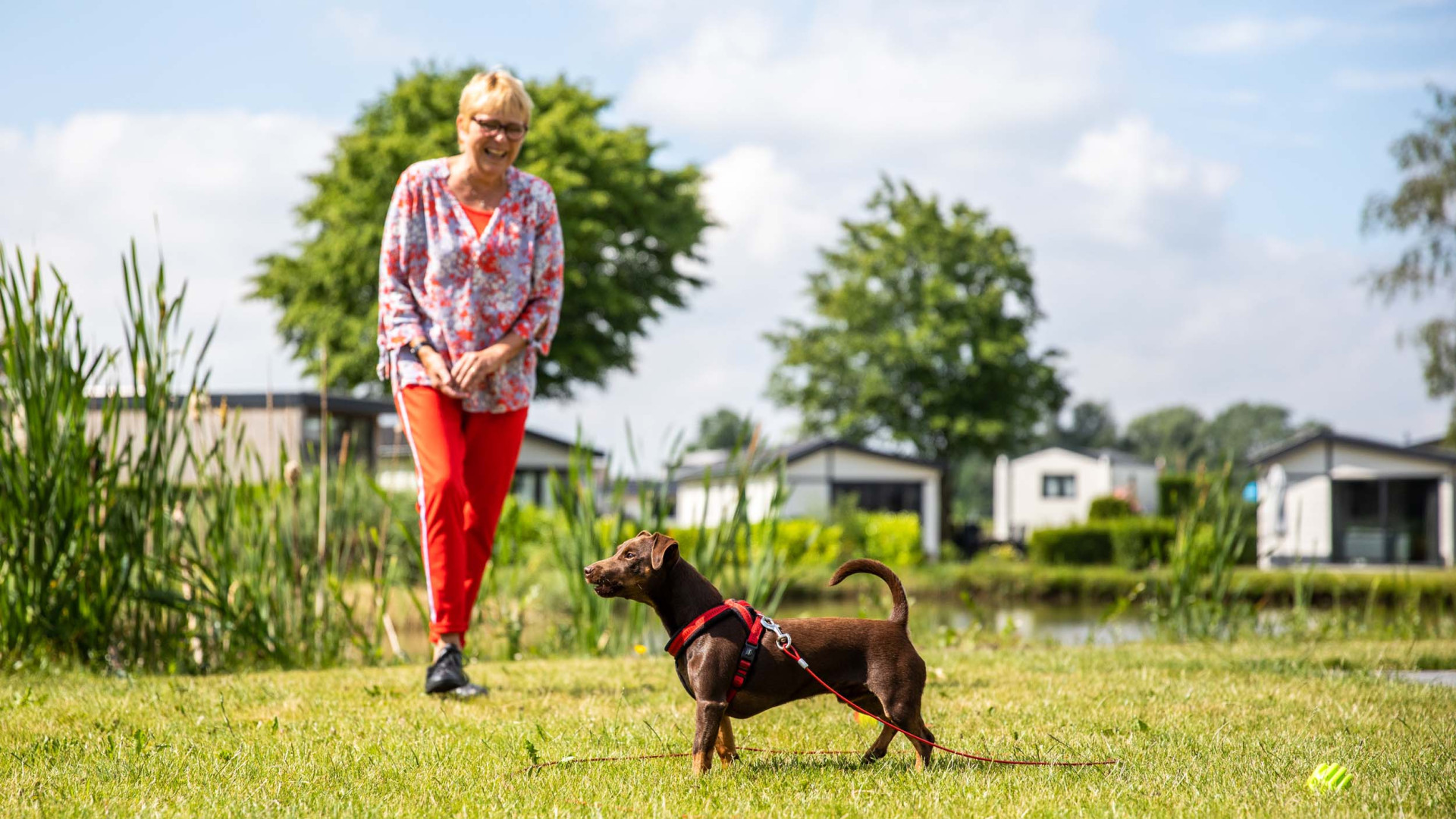 Recreatiepark het Esmeer-