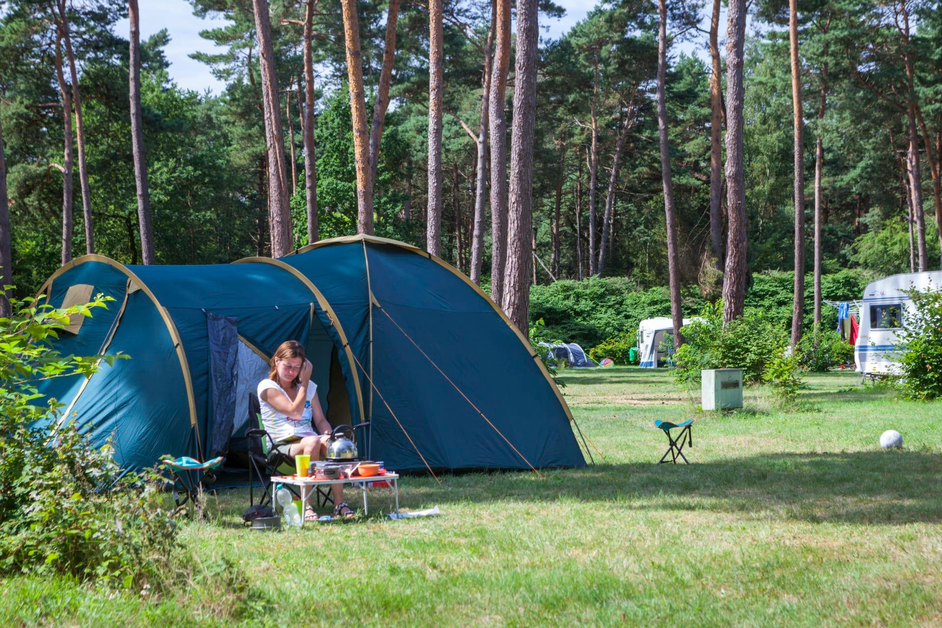 EuroParcs Zilverstrand-