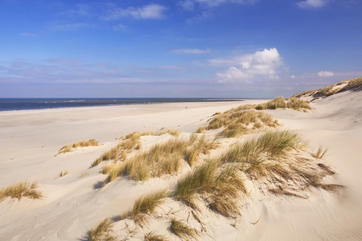 Landal West Terschelling-
