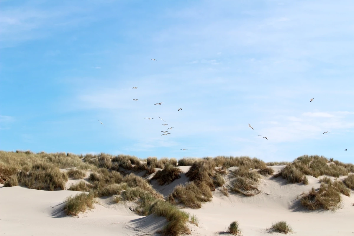 Landal West Terschelling-