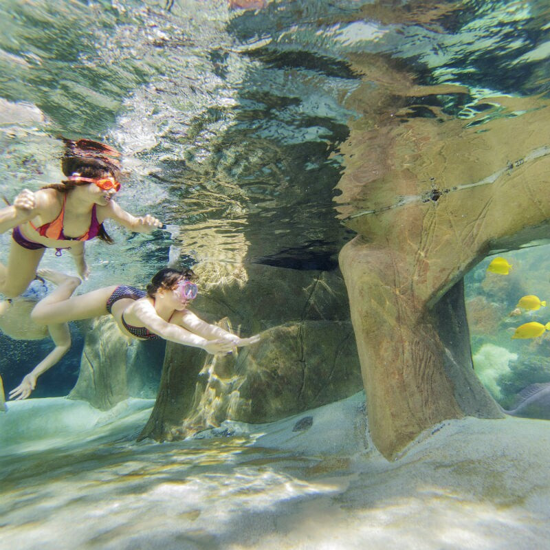 Center Parcs De Vossemeren-