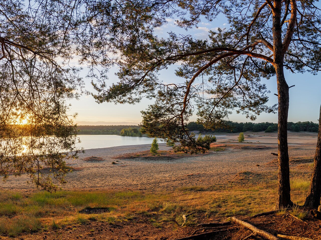 Center Parcs De Vossemeren-