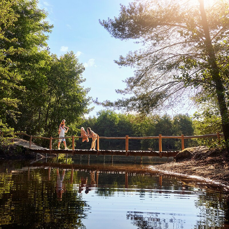 Center Parcs De Vossemeren-