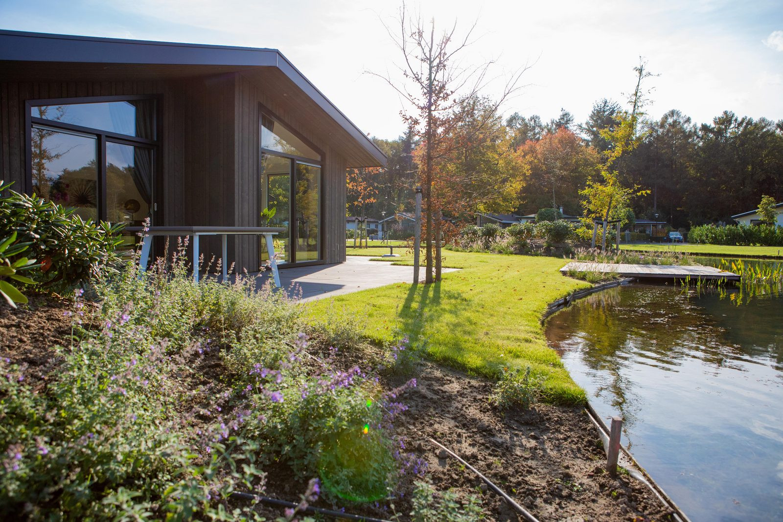 Vakantiepark Molenvelden - Algemeen