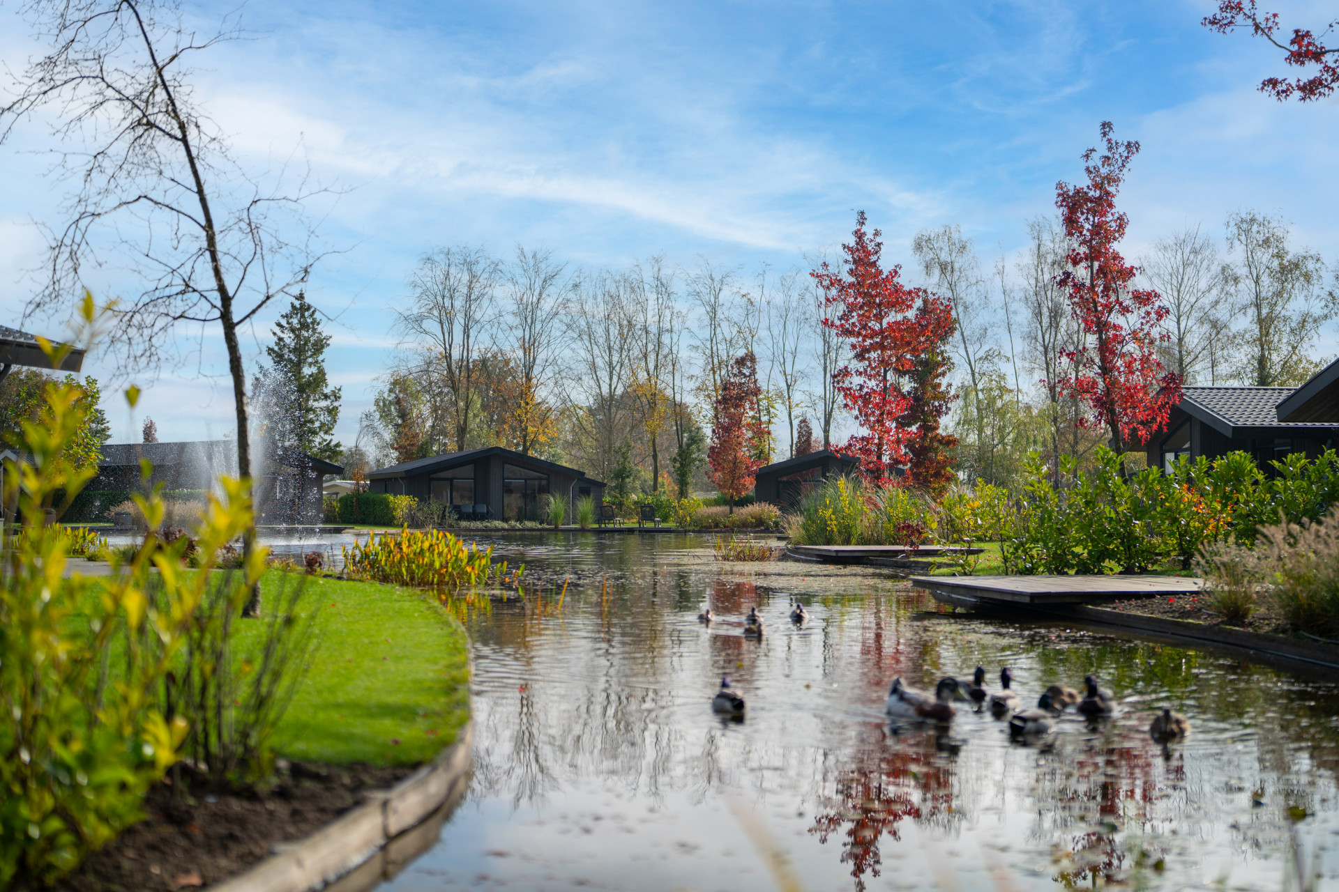 Vakantiepark Molenvelden - Zwembad
