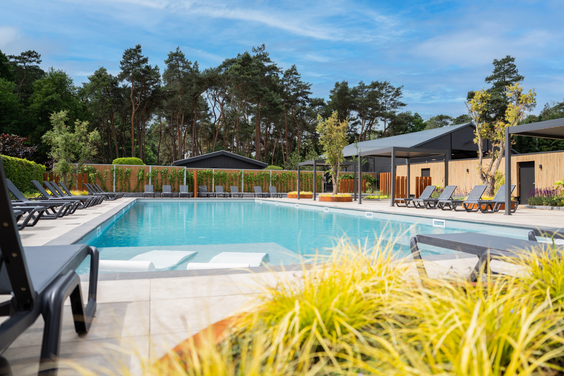 Vakantiepark Molenvelden