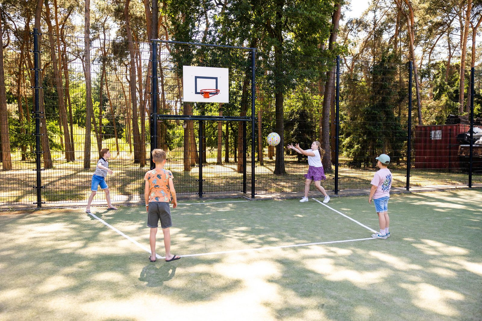 Vakantiepark Molenvelden - Activiteiten