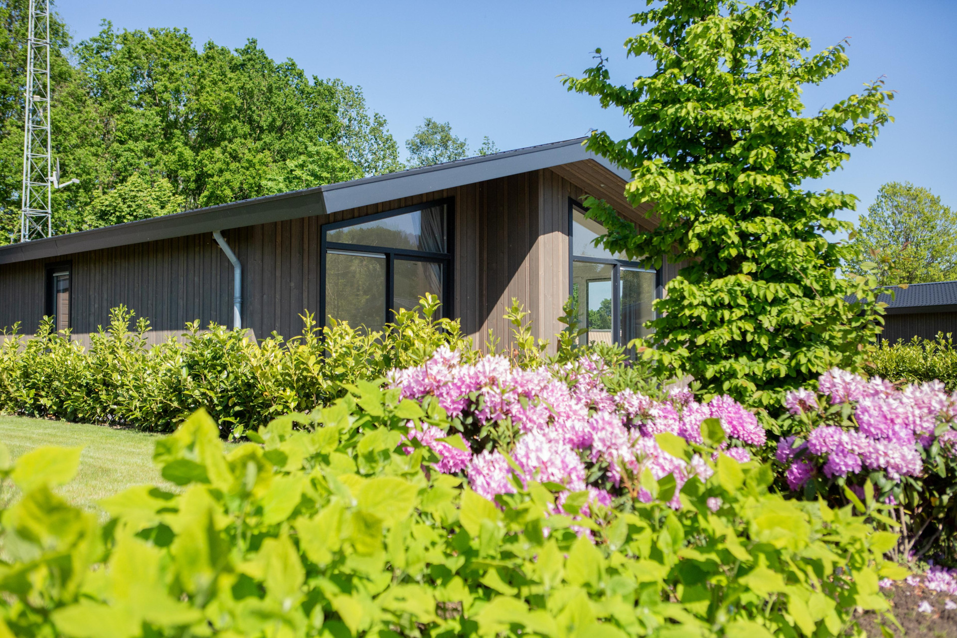 Vakantiepark Molenvelden - Accommodatie