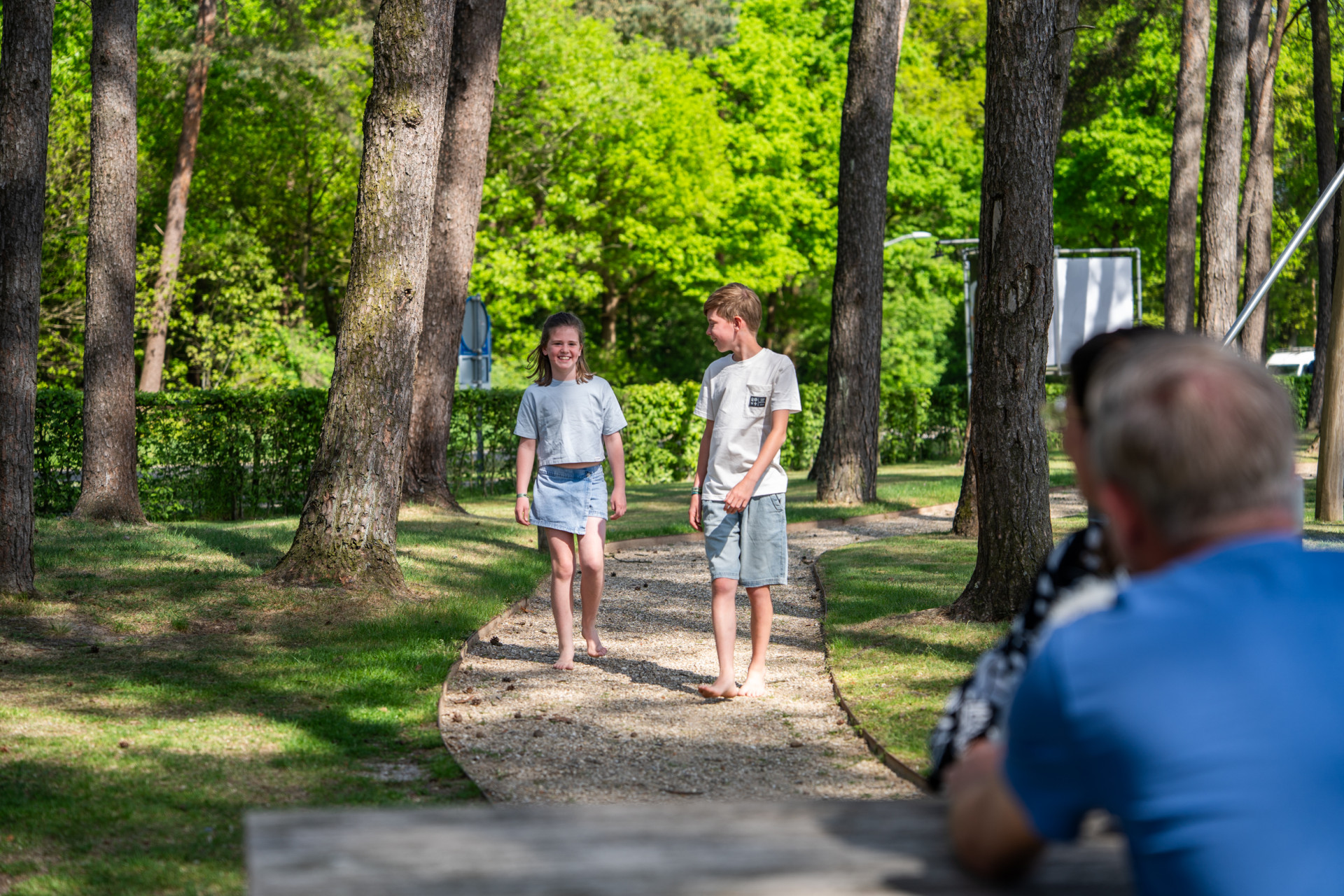 Vakantiepark Molenvelden - Algemeen