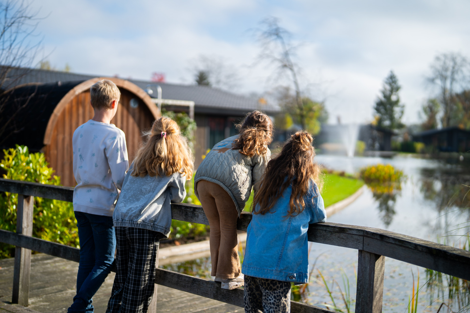 Vakantiepark Molenvelden - Algemeen