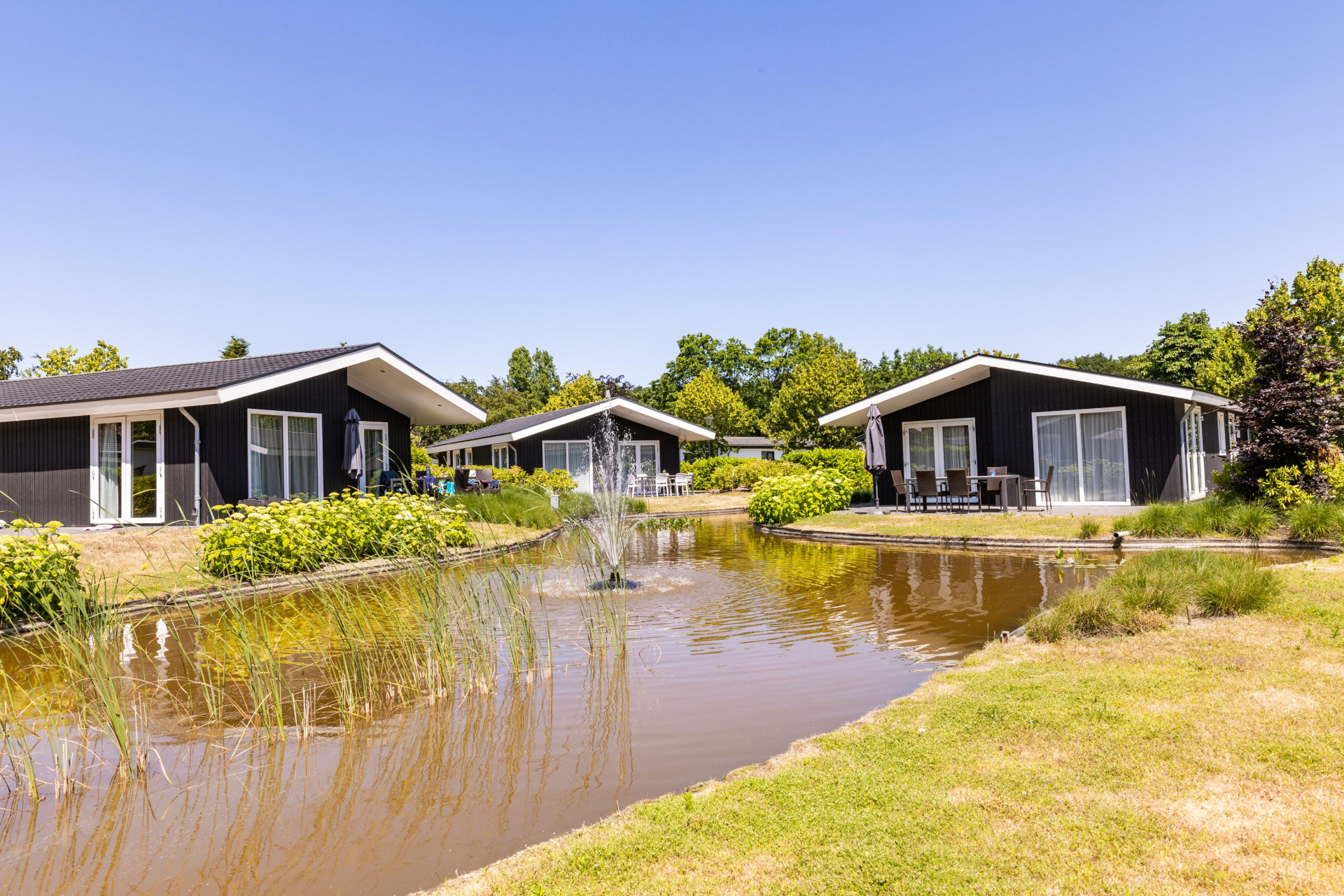 Vakantiepark Molenvelden - Op het park