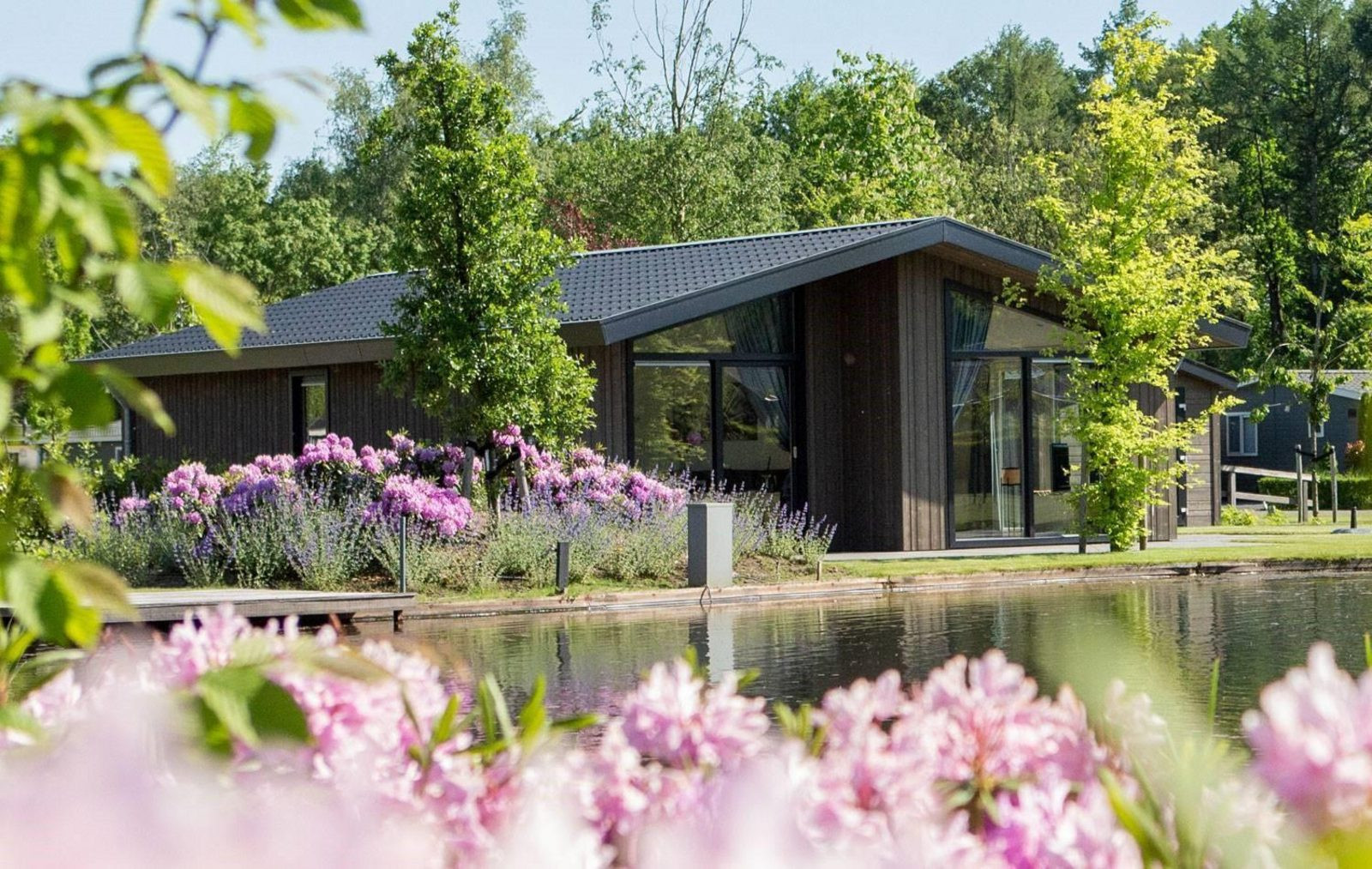 Vakantiepark Molenvelden - Accommodatie