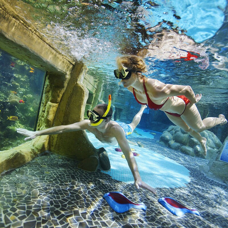 Center Parcs De Kempervennen-
