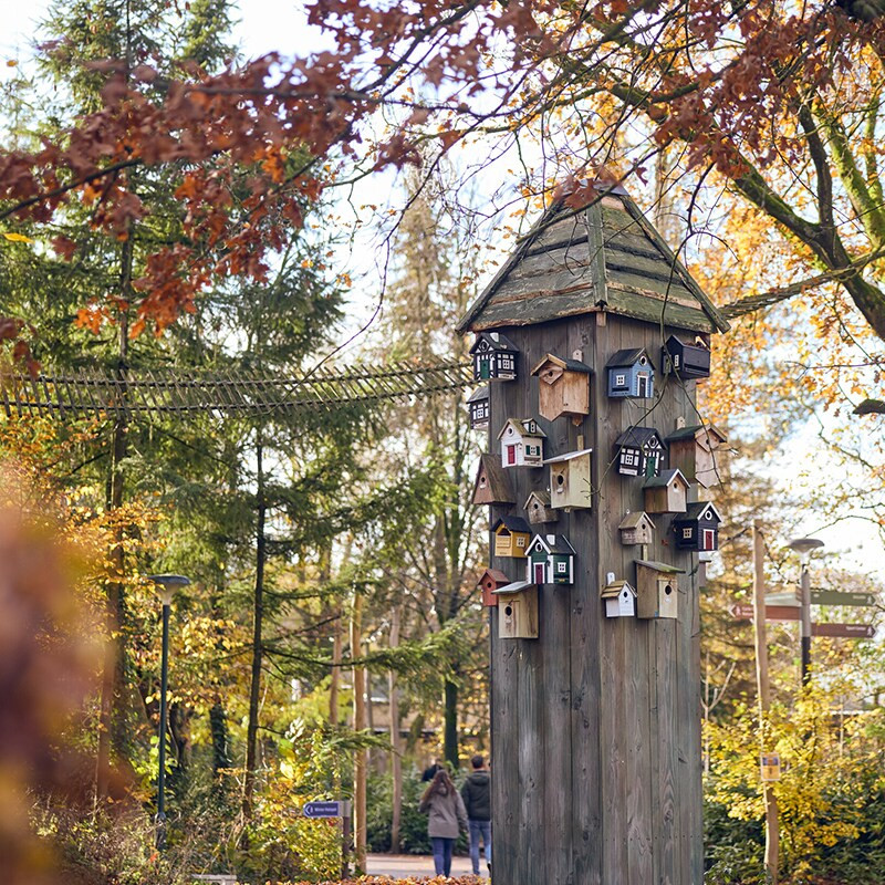 Center Parcs Erperheide-