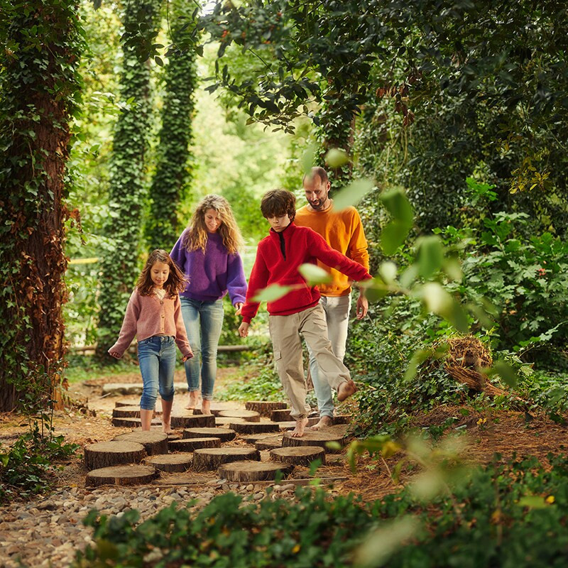 Center Parcs Erperheide-
