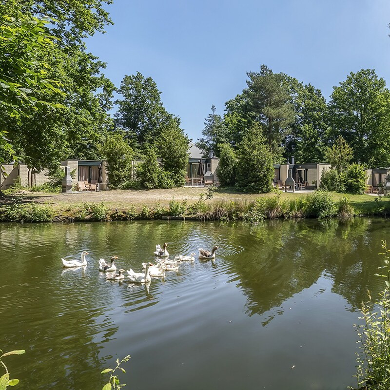 Center Parcs Erperheide-