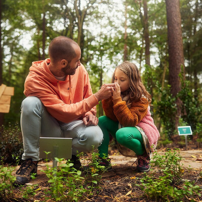Center Parcs Erperheide-
