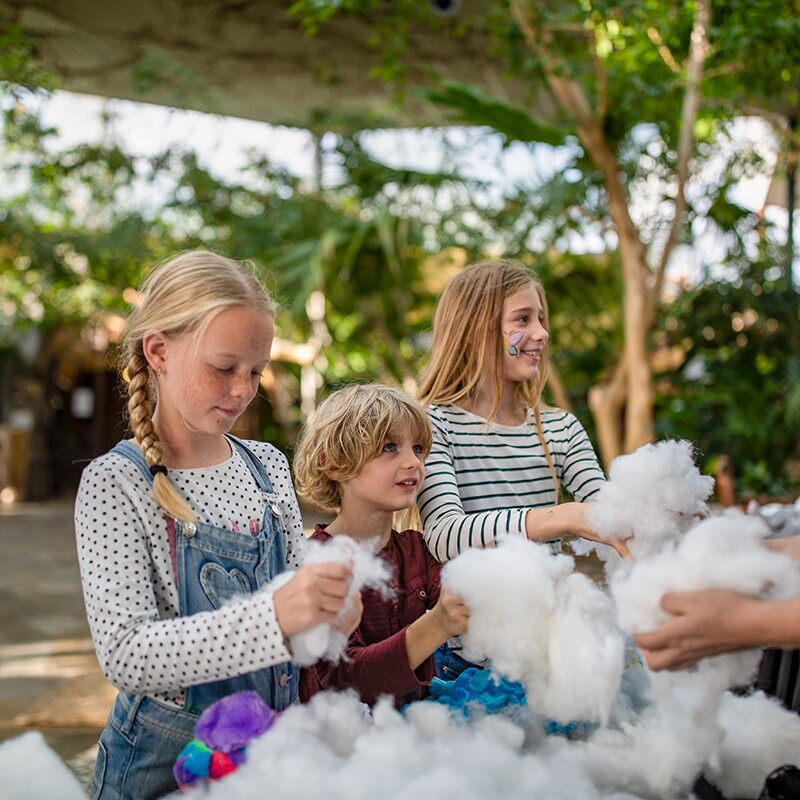 Center Parcs Erperheide-