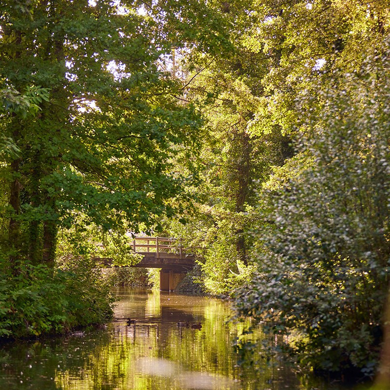 Center Parcs Erperheide-