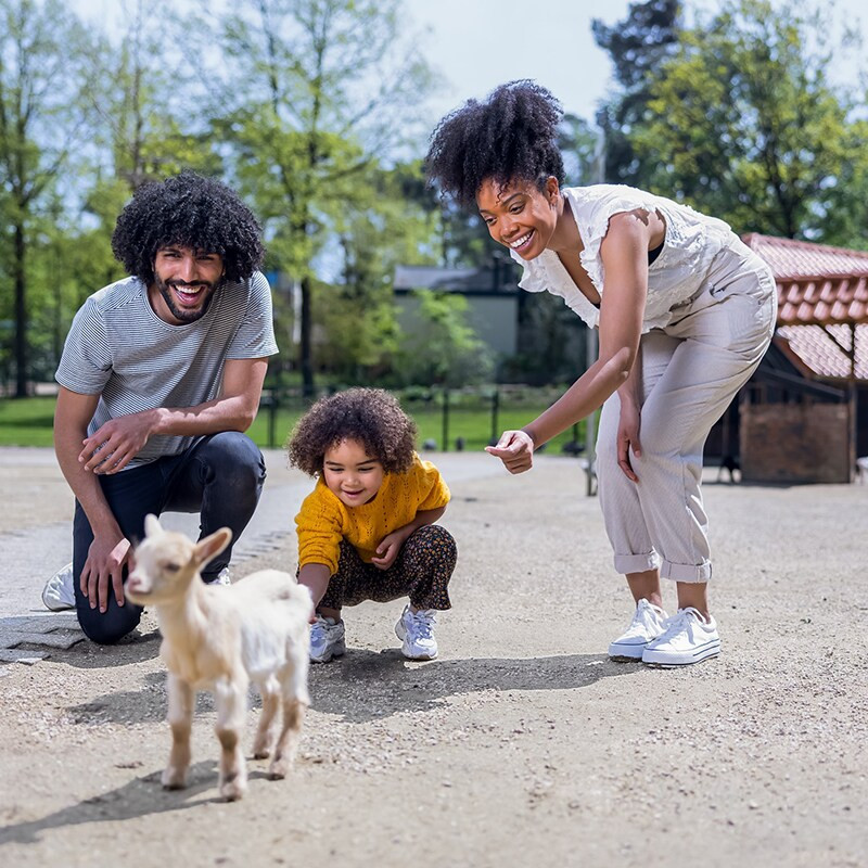 Center Parcs Erperheide-