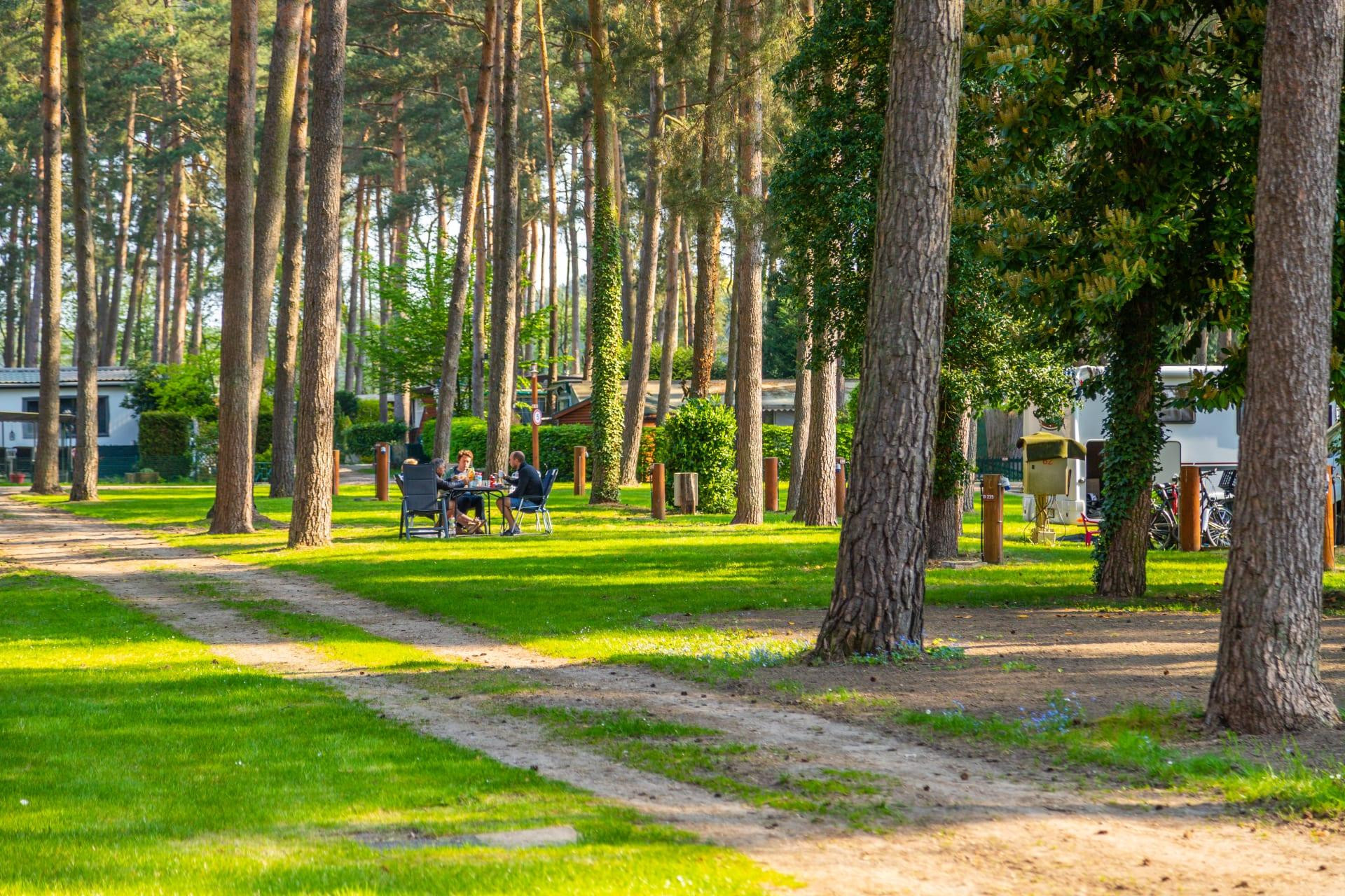 EuroParcs Hoge Kempen-