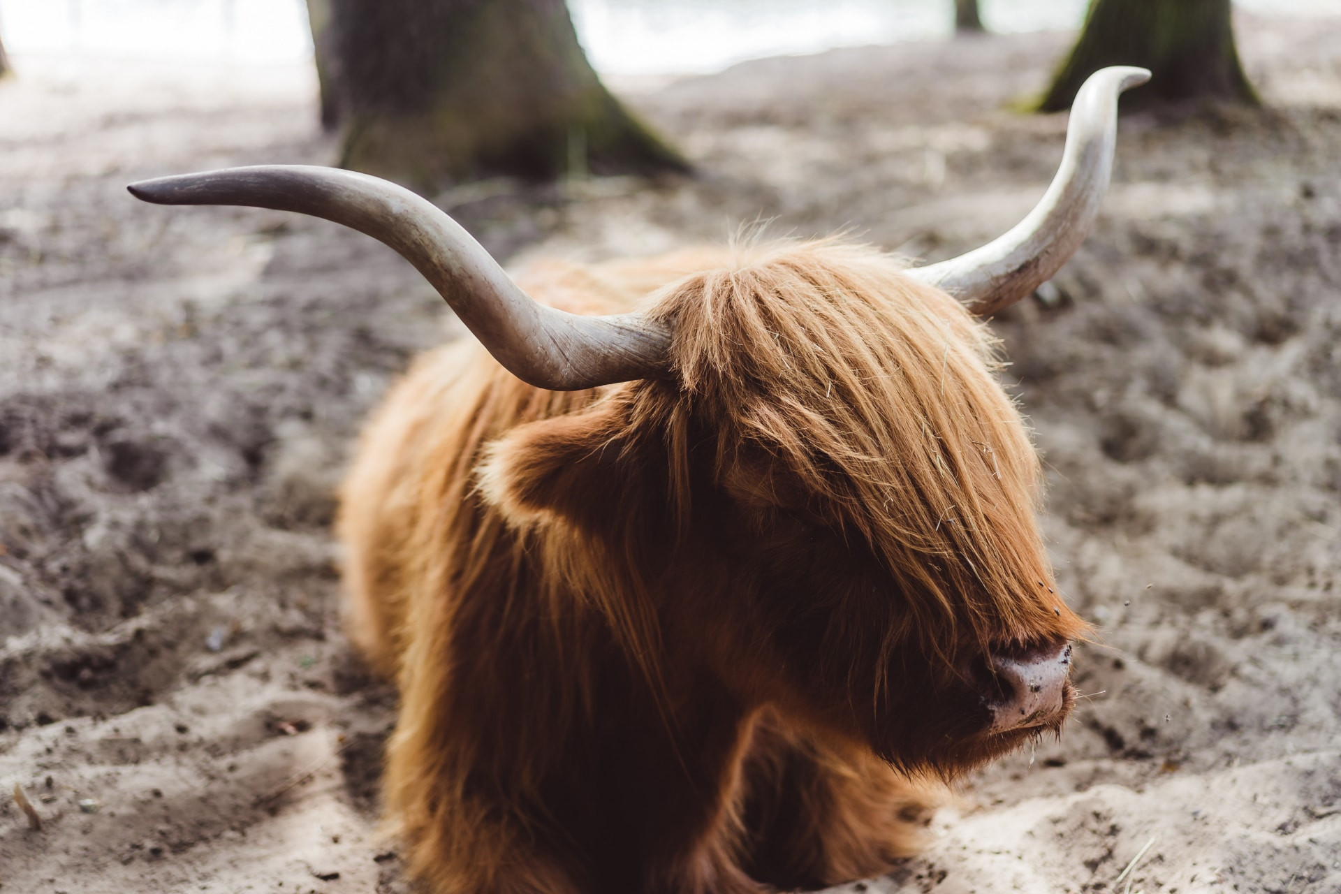 Bospark 't Wolfsven-