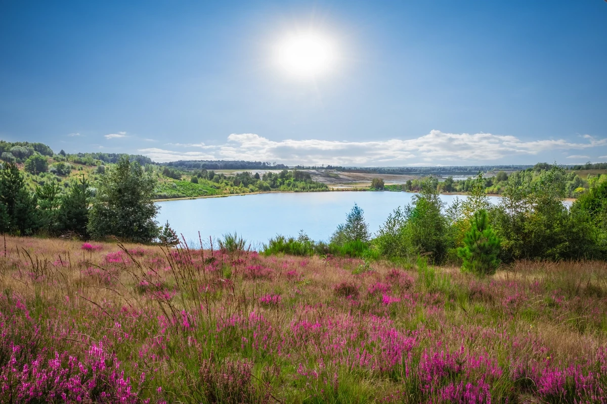 Landal Mooi Zutendaal-