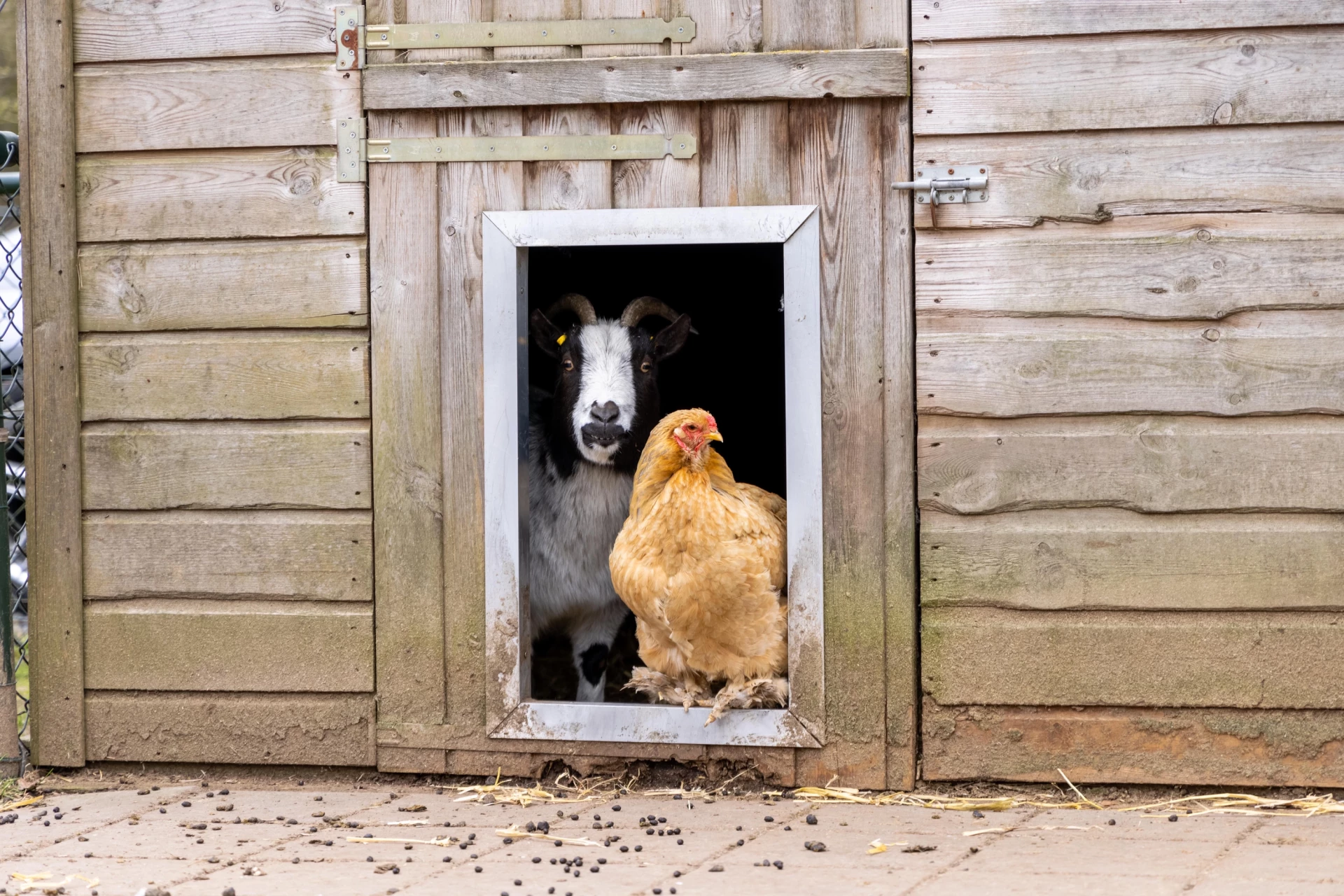 De Veluwse Hoevegaerde-