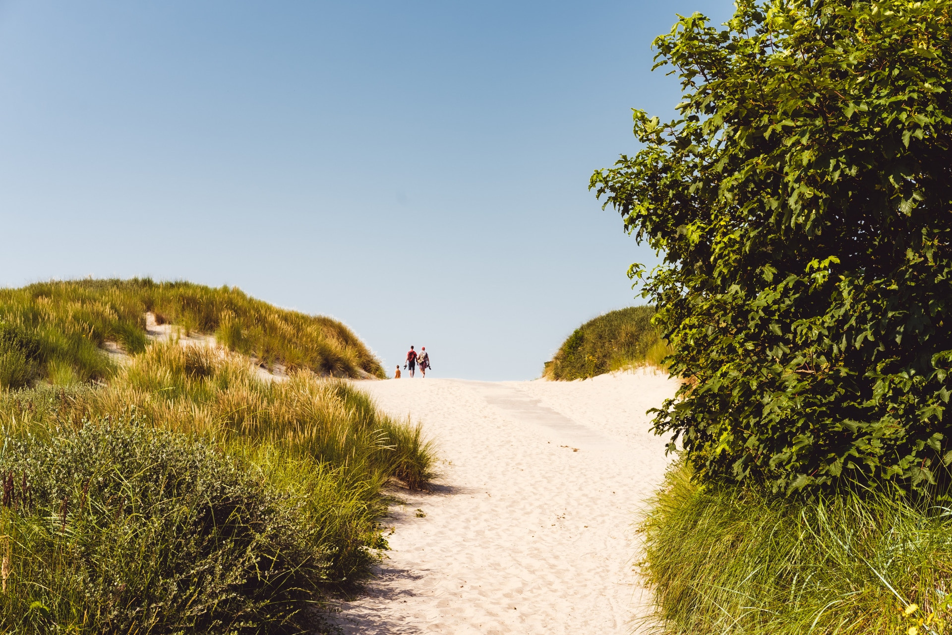 Vakantiepark Boomhiemke-
