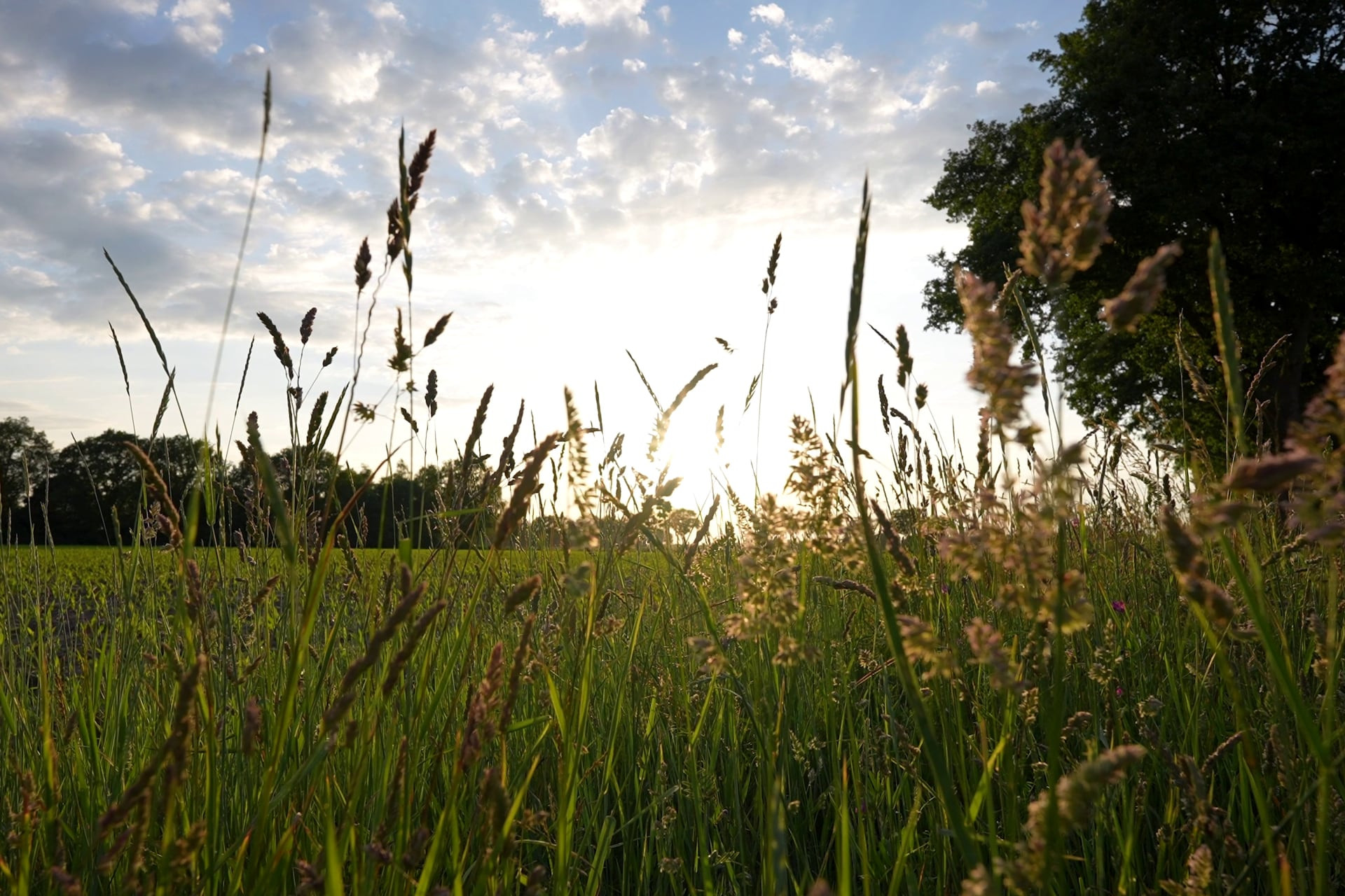 Vakantiepark Weerterbergen-