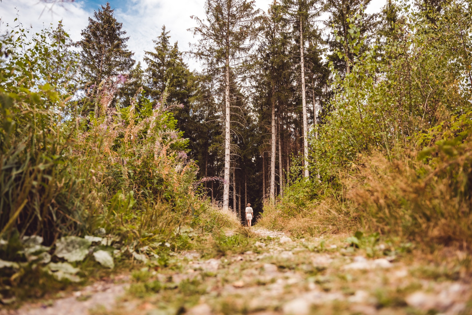 Vakantiepark Weerterbergen-