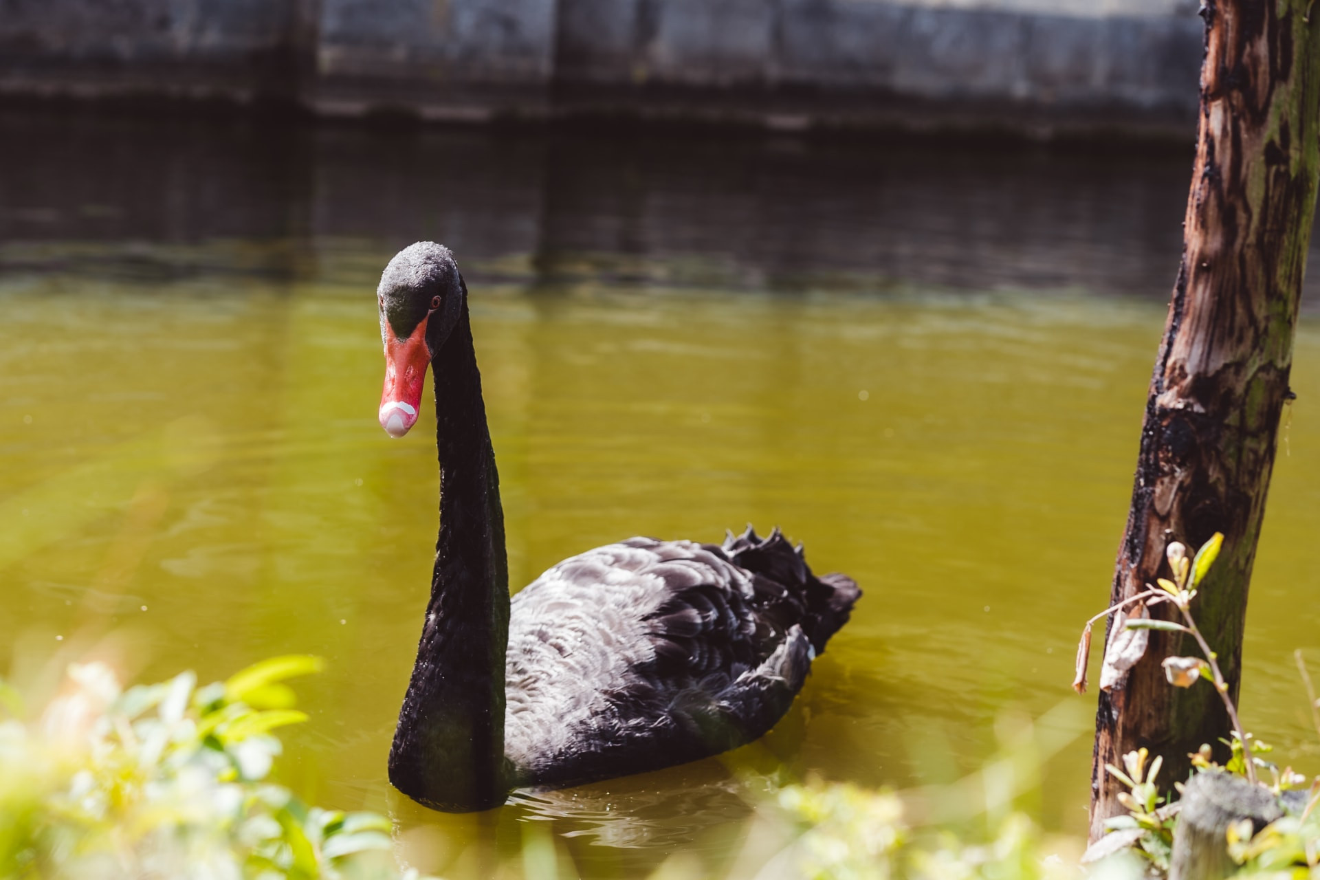 Vakantiepark Weerterbergen-