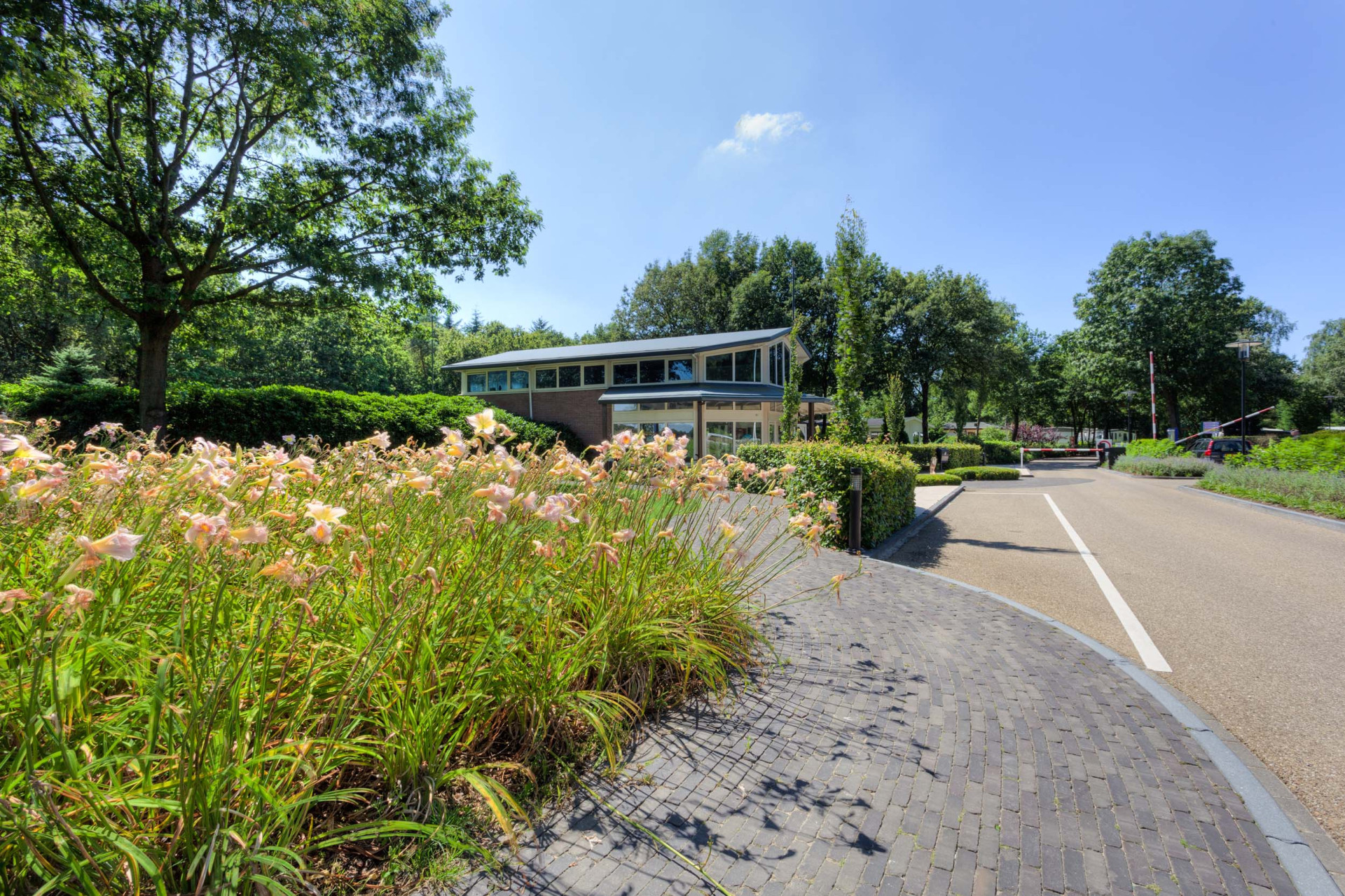 TopParken Recreatiepark 't Gelloo-