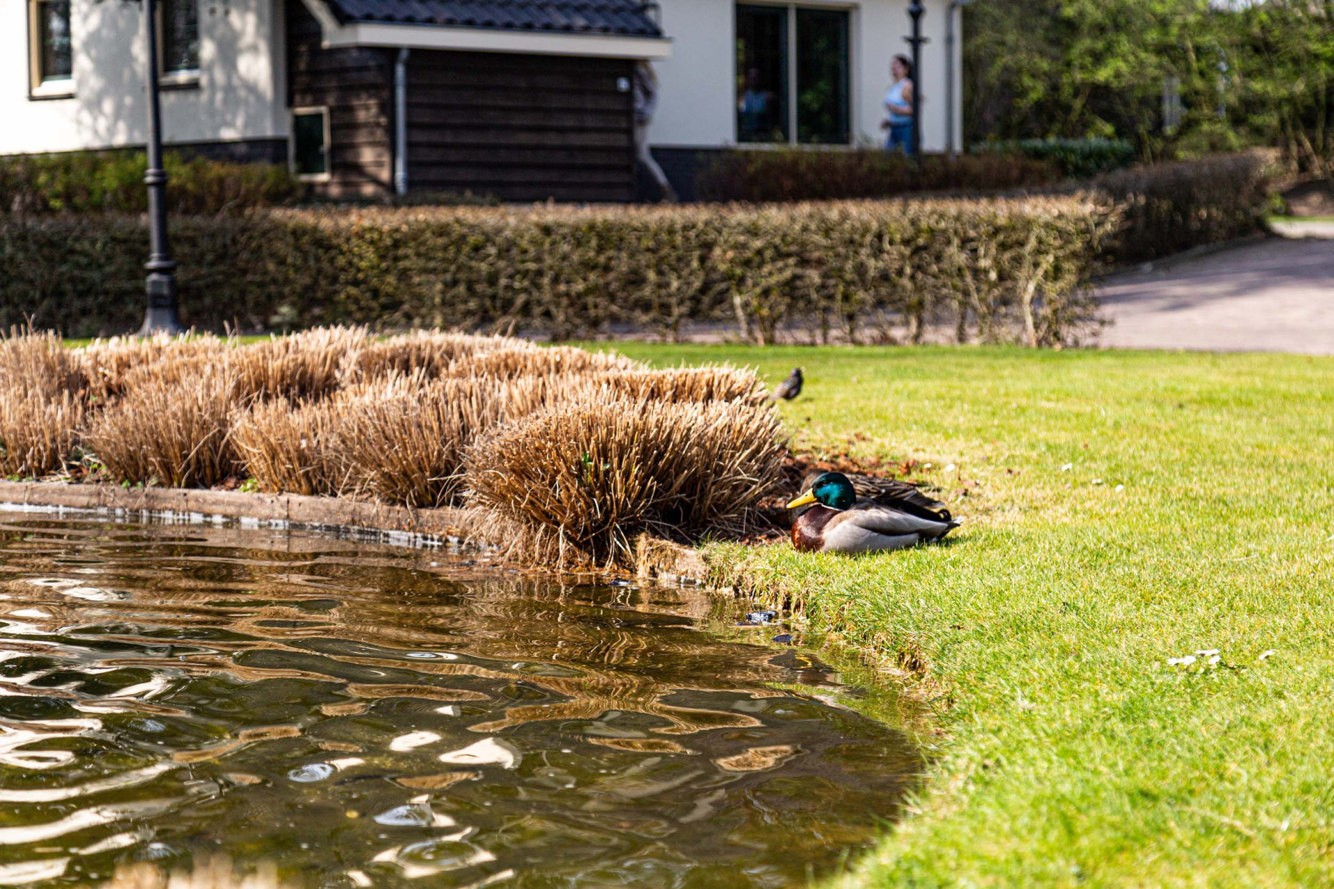 TopParken Landgoed de Scheleberg-