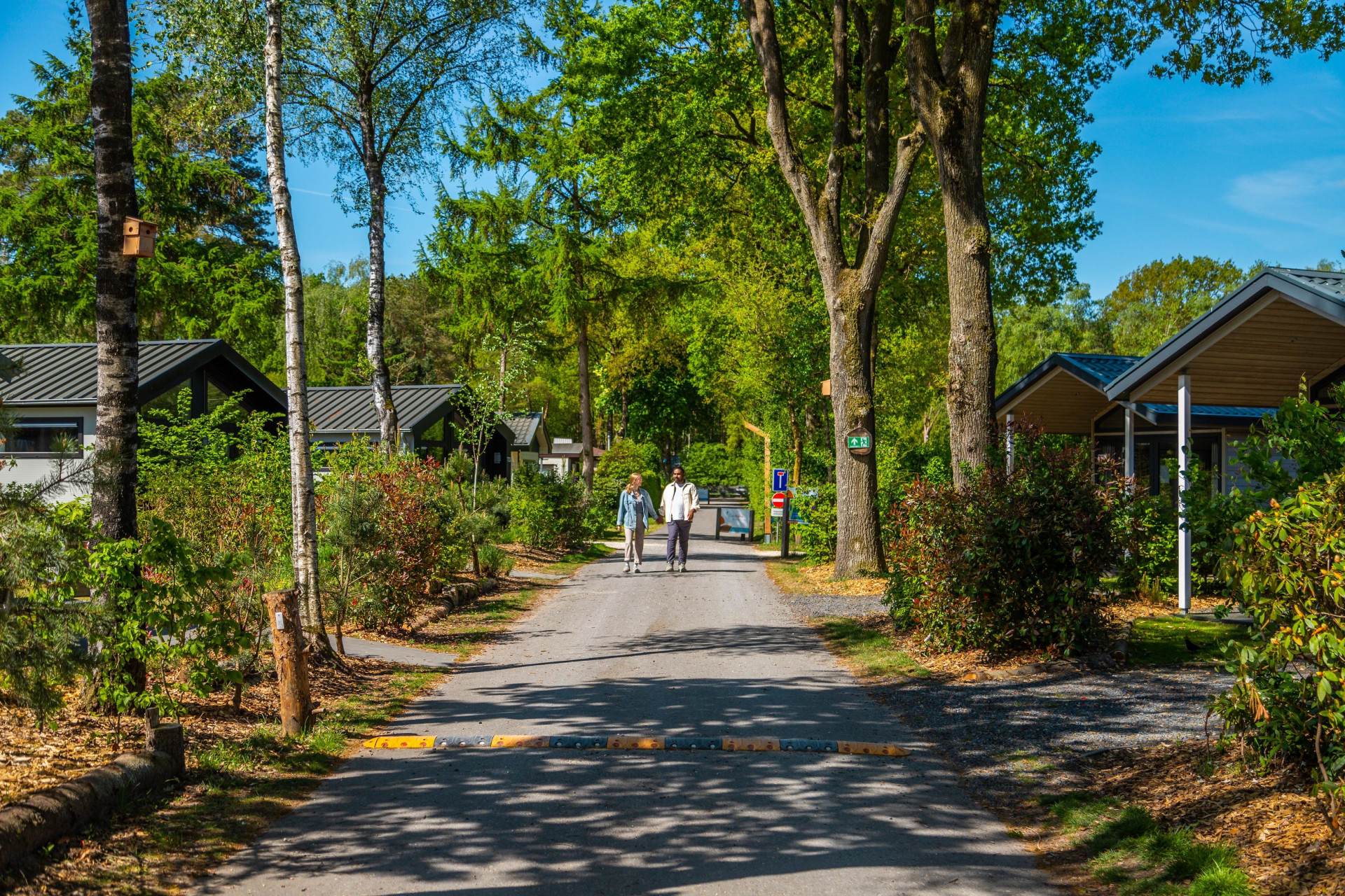 EuroParcs De Wije Werelt-
