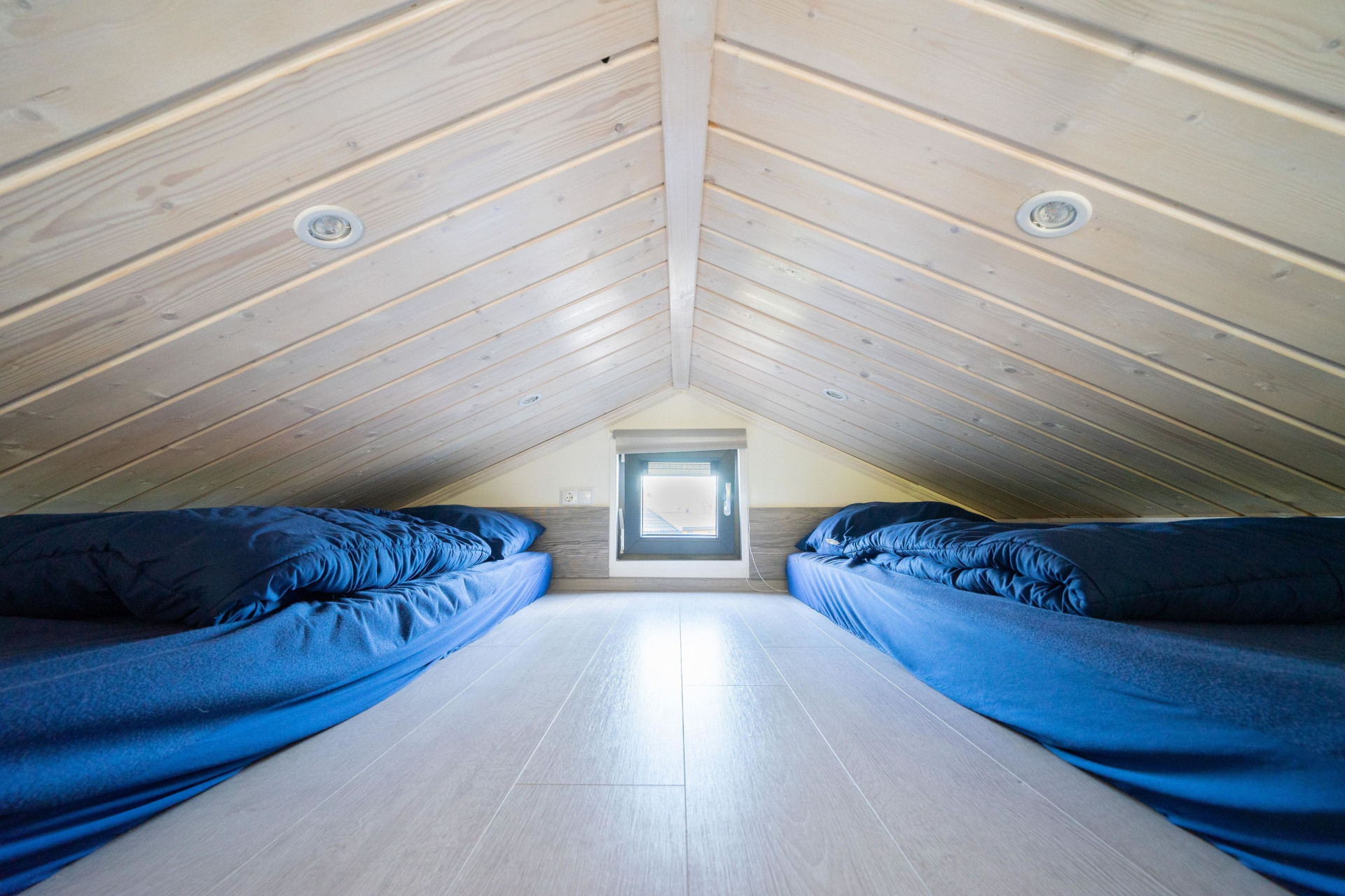 EuroParcs De Wije Werelt-