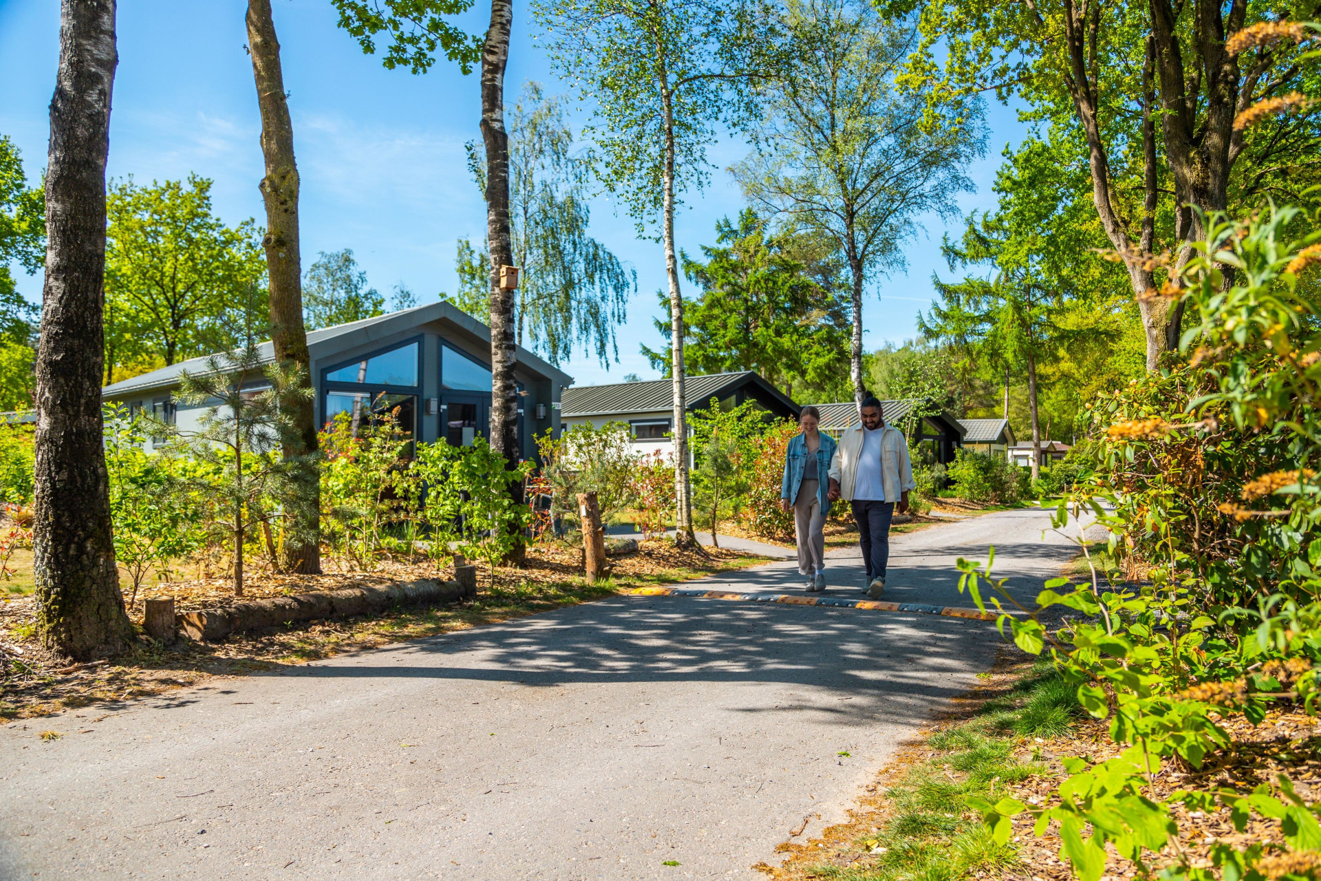 EuroParcs De Wije Werelt-