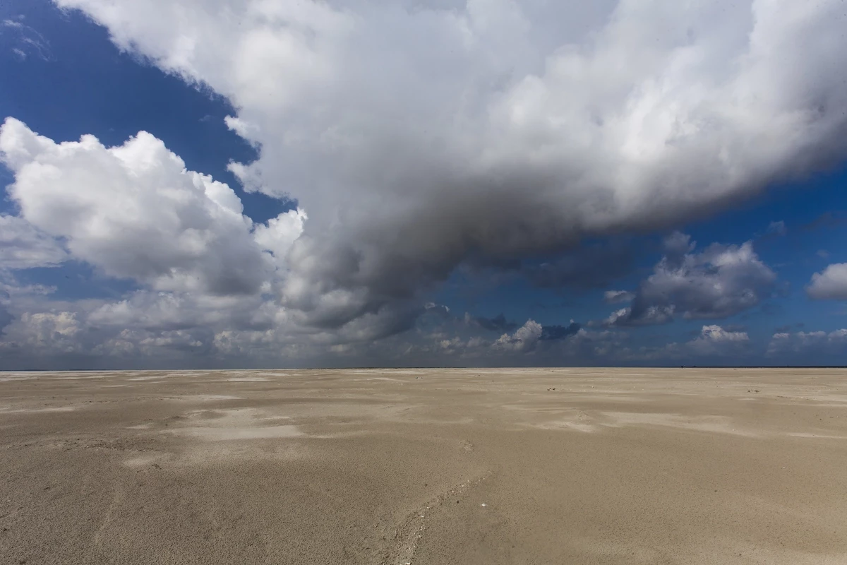 Landal Ameland State-